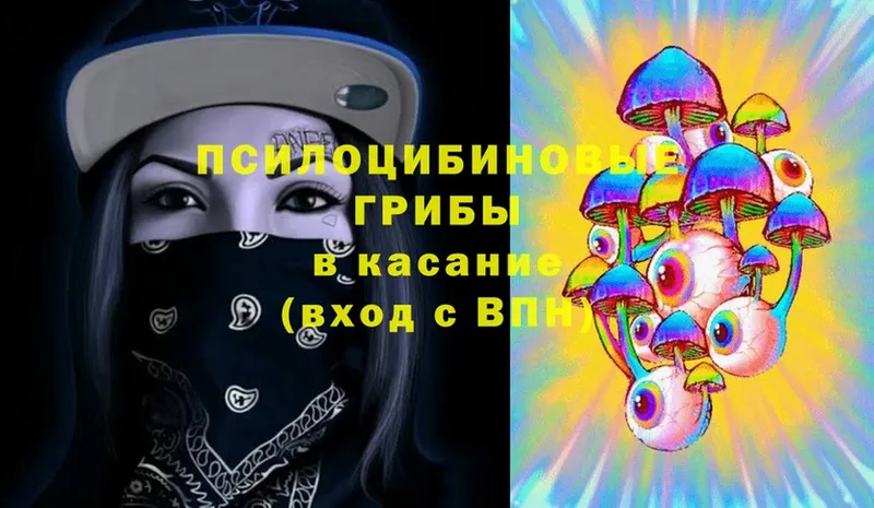 наркошоп  Клин  Псилоцибиновые грибы Cubensis 